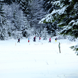 Cross-country skiing in the National park Slovak Paradise - Perfect climate - in winter cold, warm in summer