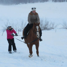 SKIJORING