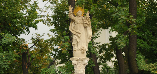 Immaculata