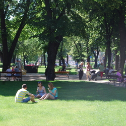 The green in the middle of square with fountain - Historical centre of the town – all in one place