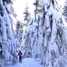 Slovak Paradise - Cross-country skiing